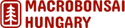macrobonsaihungary                        