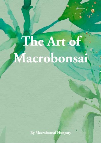 The Art of Macrobonsai 2025